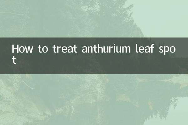 紅掌葉斑病怎麼治