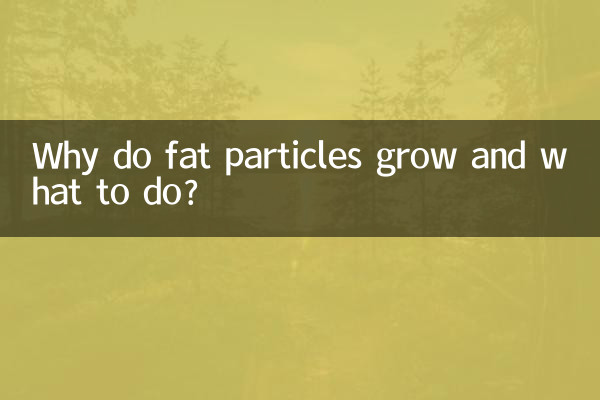 지방 입자는 왜 자라며 어떻게 해야 합니까?