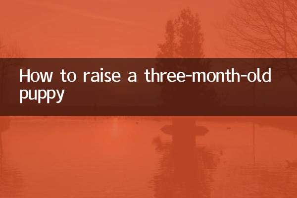 كيفية تربية جرو عمره ثلاثة أشهر