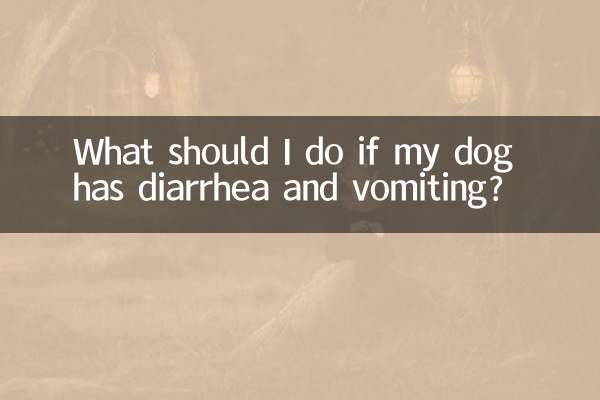 আমার কুকুরের ডায়রিয়া এবং বমি হলে আমার কী করা উচিত?