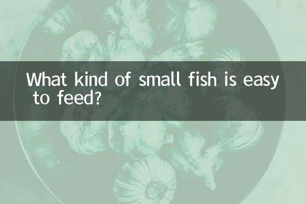 먹이주기 쉬운 작은 물고기는 어떤 것이 있나요?