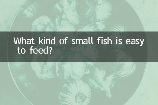 먹이주기 쉬운 작은 물고기는 어떤 것이 있나요?