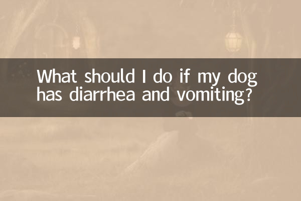 আমার কুকুরের ডায়রিয়া এবং বমি হলে আমার কী করা উচিত?