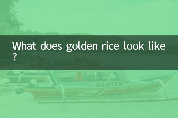 What does golden rice look like?