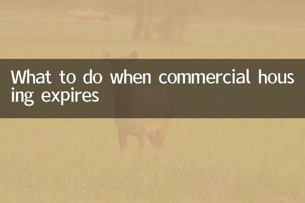상업용 주택이 만료되면 어떻게 해야 할까요?