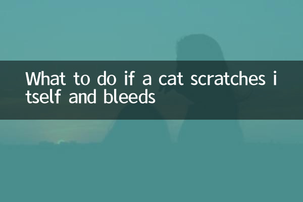 Что делать, если кошка поцарапалась и пошла кровь