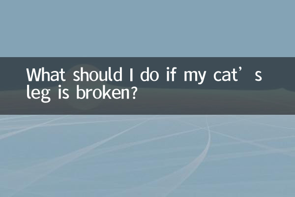 اگر میری بلی کی ٹانگ ٹوٹ گئی تو مجھے کیا کرنا چاہئے؟