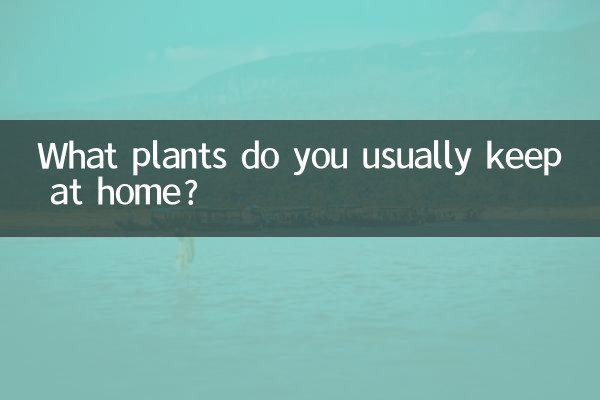 家里一般养什么植物
