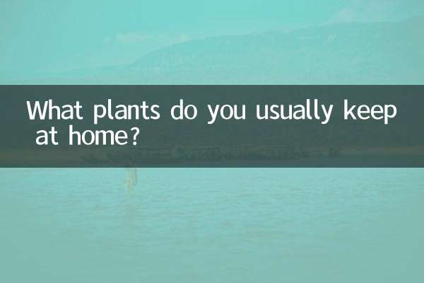 家里一般养什么植物