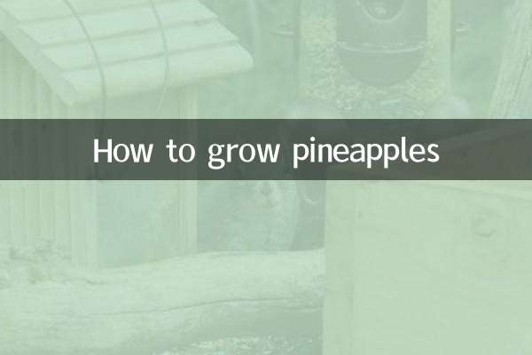 كيفية زراعة الأناناس