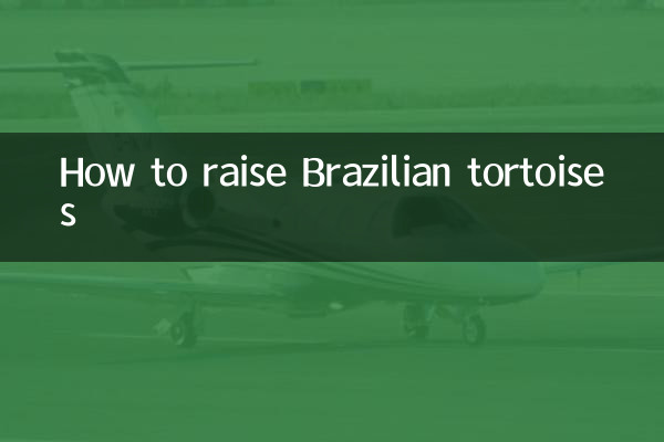 How to raise Brazilian tortoises