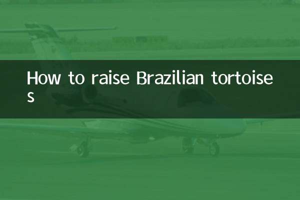 Come allevare le tartarughe brasiliane