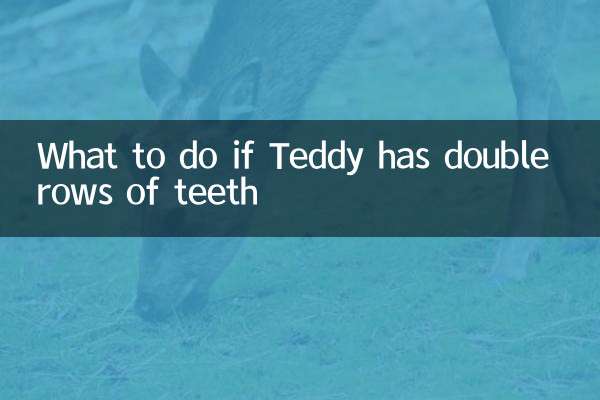 اگر تدی دو ردیف دندان داشت چه باید کرد؟