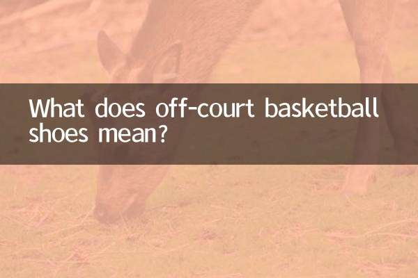 کفش بسکتبال خارج از زمین به چه معناست؟