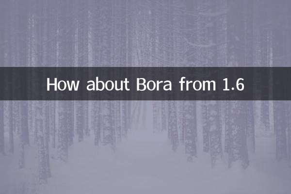 Как насчет Боры от 1.6