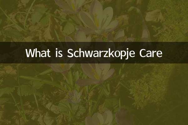 Schwarzkopje Careとは何ですか