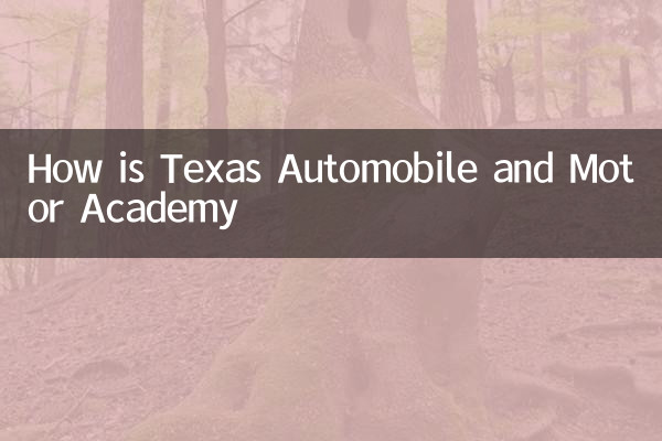 How is Texas Automobile and Motor Academy