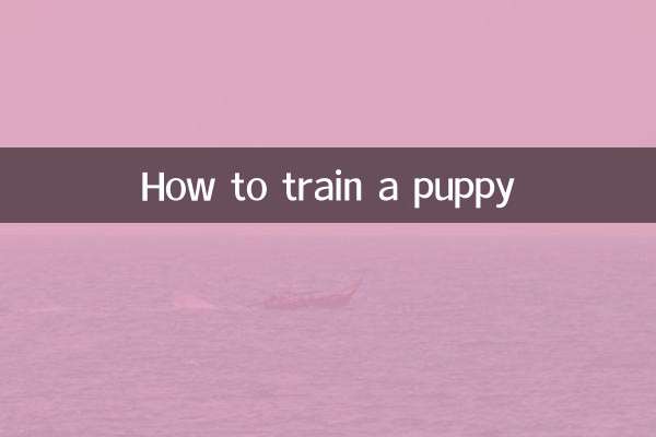子犬を訓練する方法