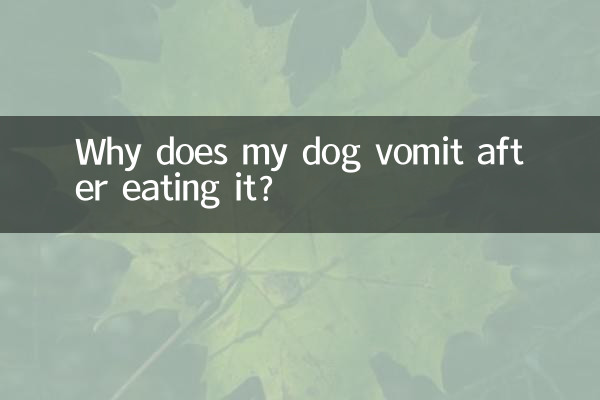 Por que meu cachorro vomita depois de comê-lo?