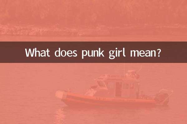 ¿Qué significa chica punk?
