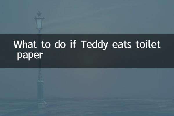 টেডি টয়লেট পেপার খেয়ে ফেললে কি করবেন