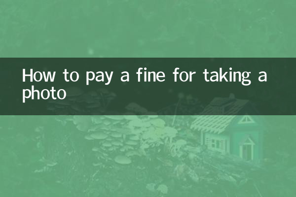 写真撮影に対する罰金の支払い方法
