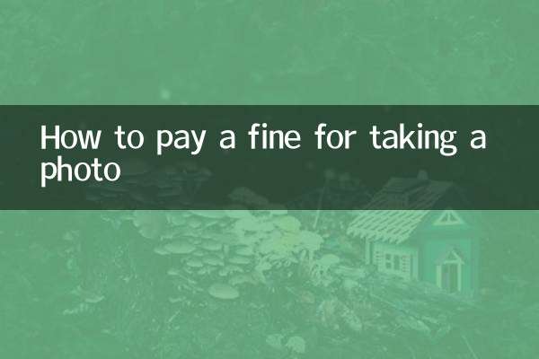 写真撮影に対する罰金の支払い方法