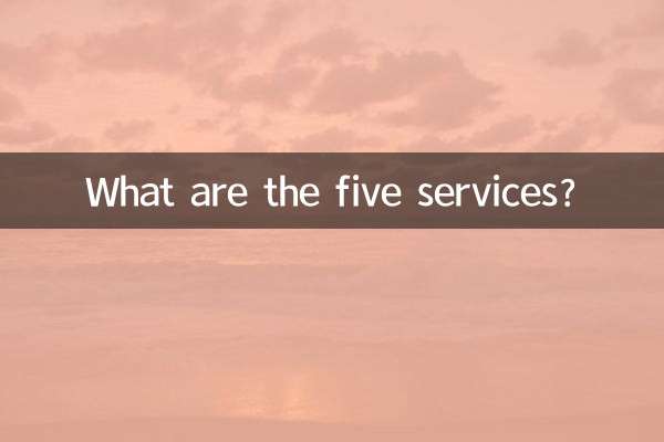 5가지 서비스란 무엇인가요?