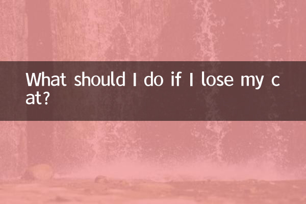 把貓丟了怎麼辦