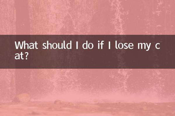 把貓丟了怎麼辦