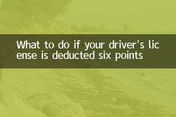 Was tun, wenn vom Führerschein sechs Punkte abgezogen werden?