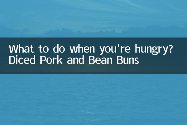 배고플 때 무엇을 해야 할까요? 잘게 썬 돼지고기와 콩빵