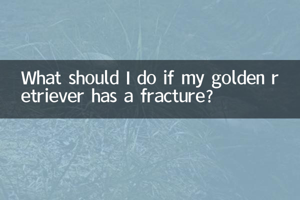 Cosa devo fare se il mio Golden Retriever ha una frattura?