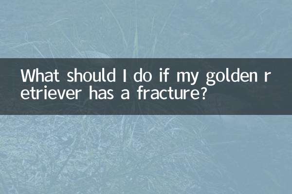 Cosa devo fare se il mio Golden Retriever ha una frattura?