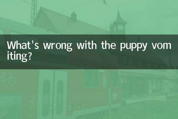 Qu'est-ce qui ne va pas avec le chiot qui vomit ?
