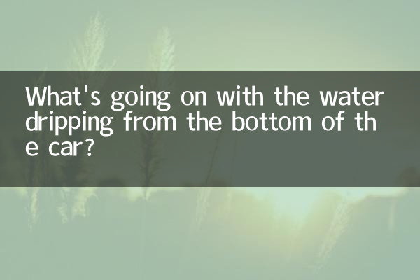 ¿Qué pasa con el agua que gotea desde el fondo del auto?