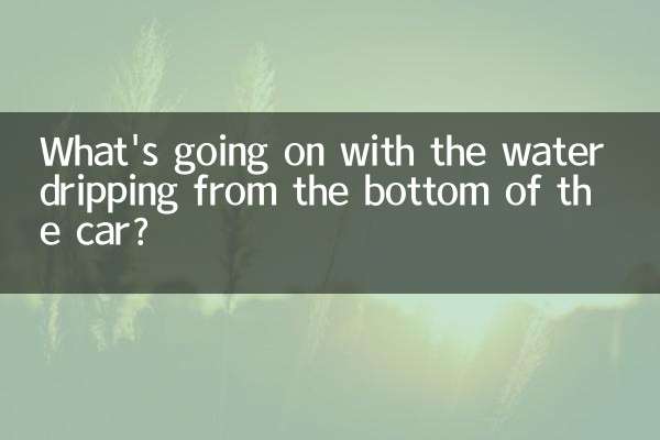 ¿Qué pasa con el agua que gotea desde el fondo del auto?