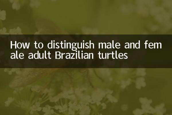 كيفية التمييز بين ذكور وإناث السلاحف البرازيلية البالغة