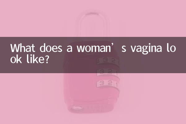 What does a woman’s vagina look like?