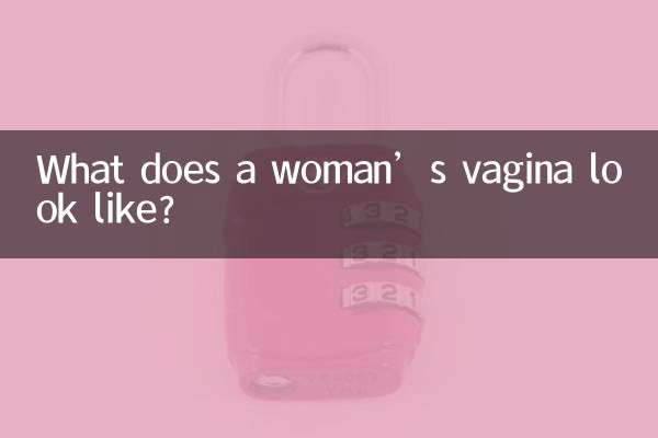 What does a woman’s vagina look like?