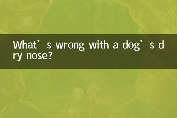 ما هو الخطأ في أنف الكلب الجاف؟