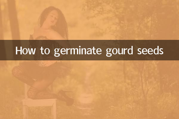 How to germinate gourd seeds