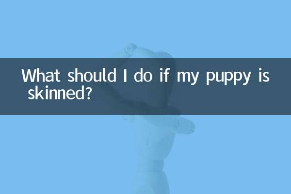 What should I do if my puppy is skinned?