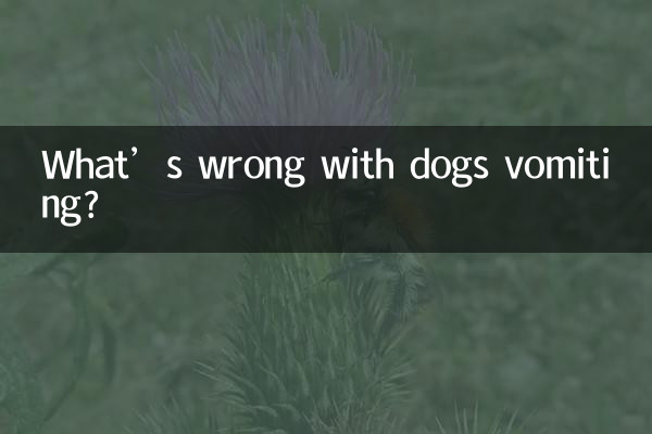 ¿Qué pasa con que los perros vomiten?