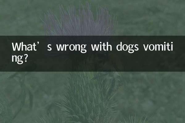 کتوں کو الٹی کرنے میں کیا غلط ہے؟