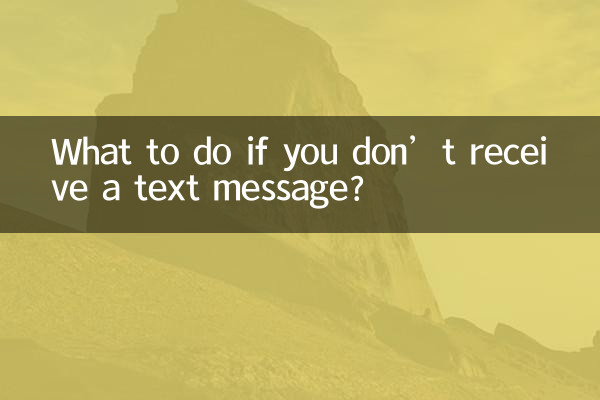 यदि आपको टेक्स्ट संदेश प्राप्त न हो तो क्या करें?