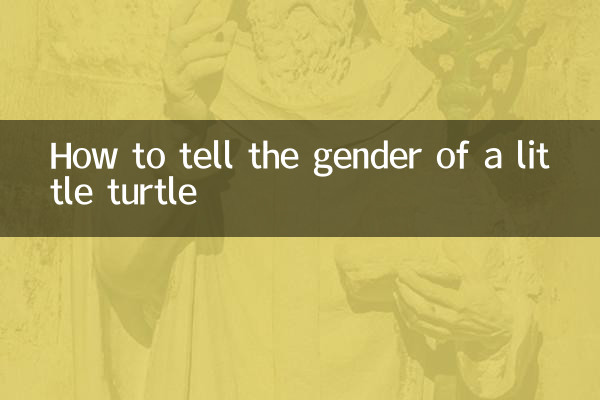 怎么看小乌龟性别