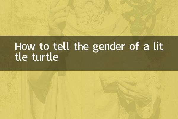 تھوڑا سا کچھی کی صنف کو کیسے بتائیں