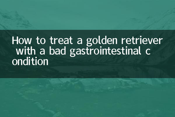 خراب معدے کی حالت کے ساتھ سنہری بازیافت کا علاج کیسے کریں