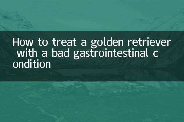 خراب معدے کی حالت کے ساتھ سنہری بازیافت کا علاج کیسے کریں